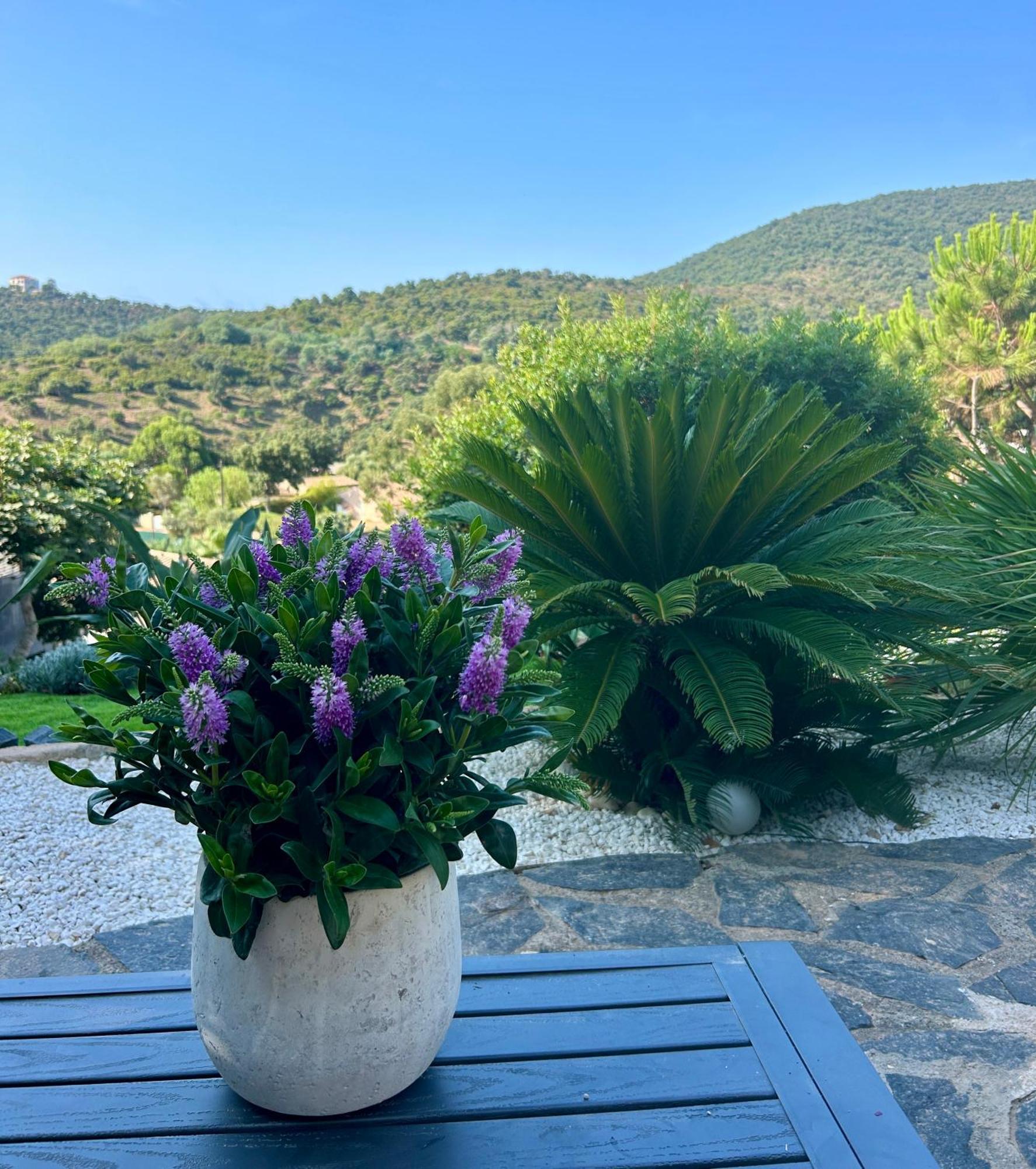 Belle Chambre Privee Avec Le Jardin Privatif Et Le Jacuzzi Cavalaire-sur-Mer Buitenkant foto